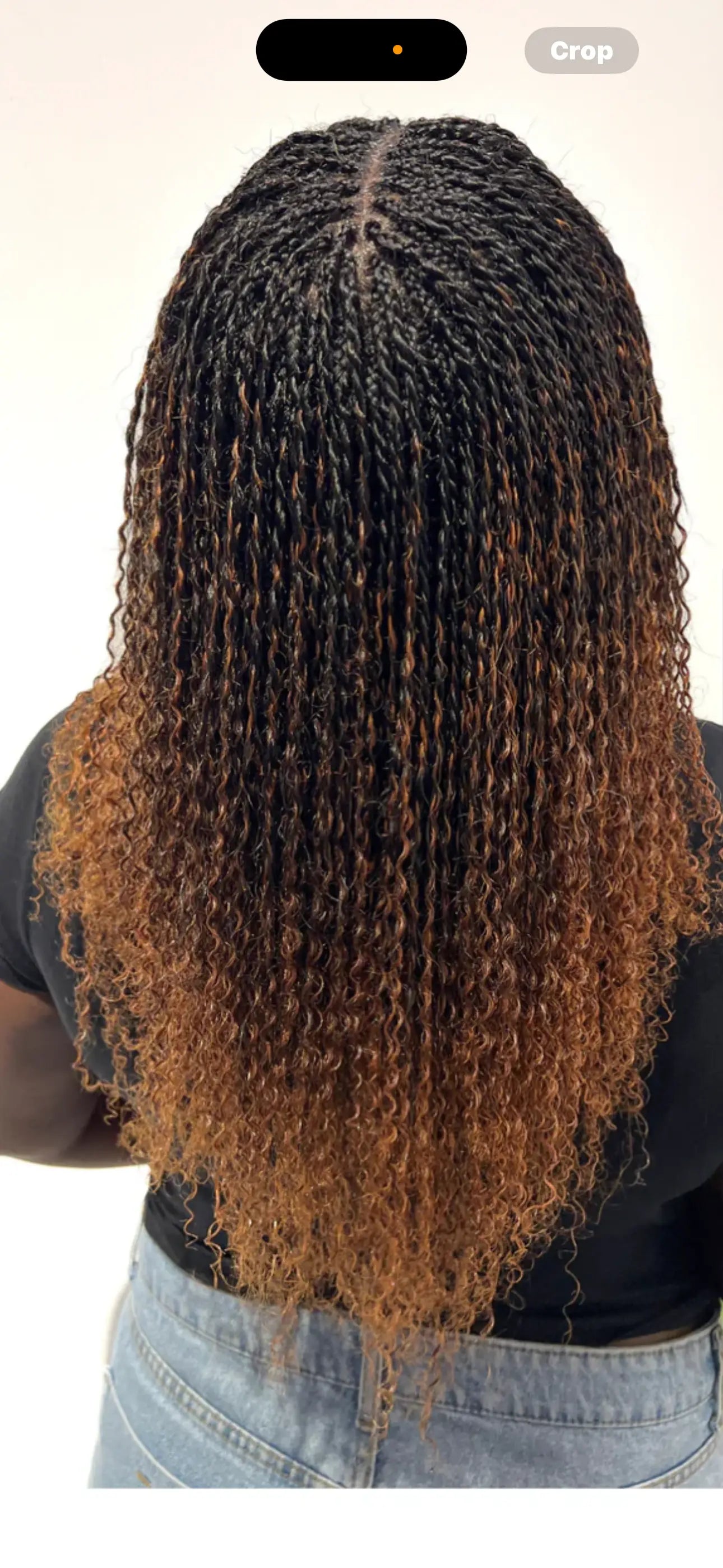 Kinky Curly Bulky Human Hair - 2/30